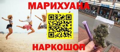 сатива Будённовск