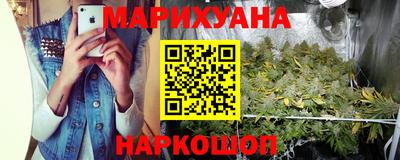 сатива Будённовск