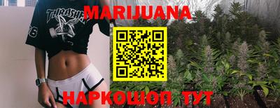 сатива Будённовск